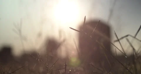 Graveyard at sunrise Stock Footage 170185526