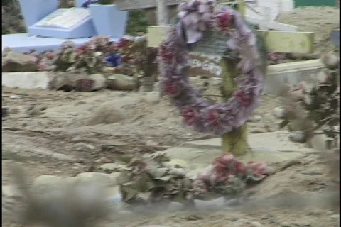 Graveyard Through Barbed Wire Stock Footage 297645