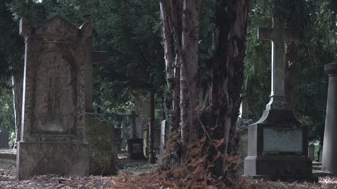Graveyard with tombstones Video stock 100067041