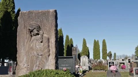 Graveyard-trees-3 Stock Footage 98424189