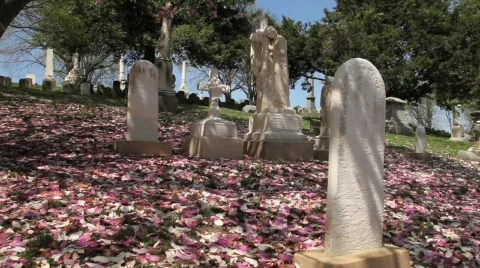 Graveyard uphill 2 Stock Footage 682821