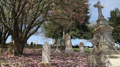 Graveyard uphill Stock Footage 682796