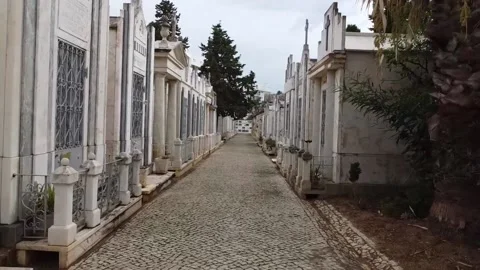 Graveyard walk through, 4K Stock Footage 219646155