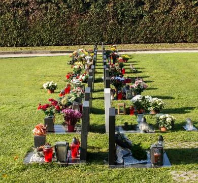 Graveyards with flowers Stock Photos