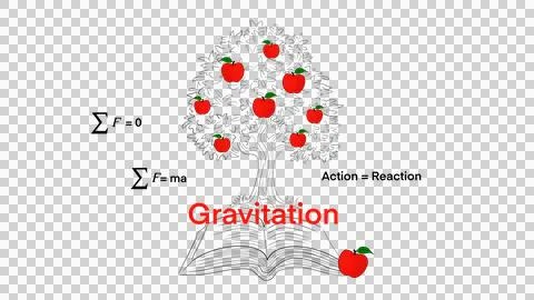 The gravitational force of the earth animation, Gravity, falling apple Stock Illustration