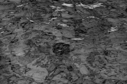 Gray abstract background of wavy water surface Stock Illustration