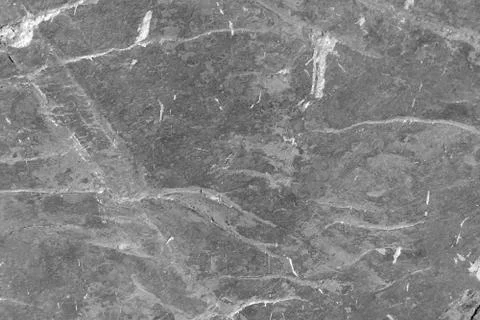 Gray abstract pattern. The texture of the stone close-up. Stock Photos
