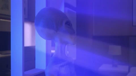 Gray Aliens in a Bedroom Stock Footage 224305724