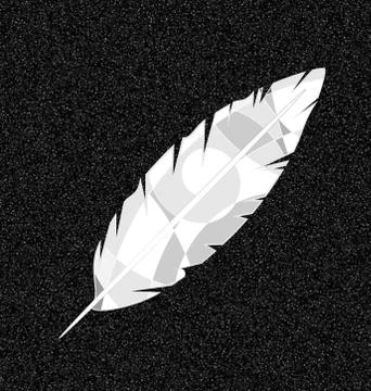 Gray and abstract white feather Stock Illustration
