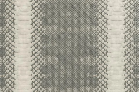 Gray and Beige Python Snakeskin Texture Seamless Pattern Background Stock Illustration