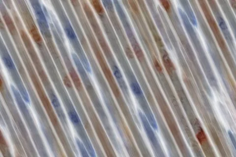 Gray and brown background abstract texture with slanted lines parallel Illustrazione stock