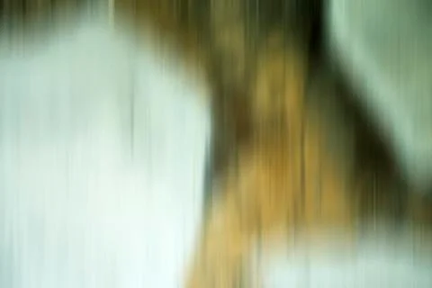 Gray and brown blurred background Stock Photos