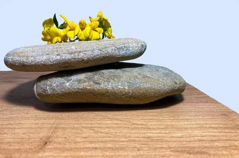 Gray and flat stones lie on a wooden surface. They have beautiful flowers Stock Photos