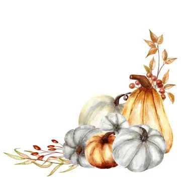 Gray and golden pumpkins composition. Hand painted gray and orange pumpkins w Stock Illustration