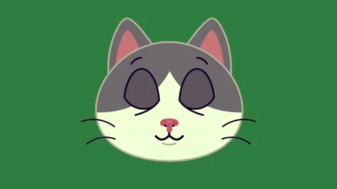 A gray and white cat with its eyes closed sleeping on top of green background Video stock 336890223