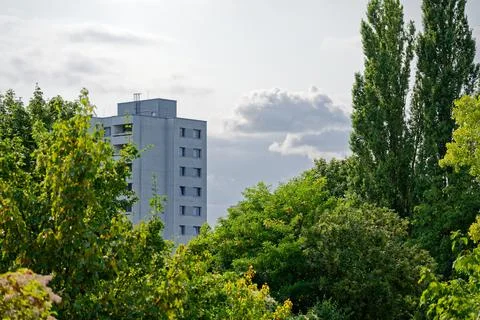 Gray apartment block rises beyond trees and white sky Stock Photos