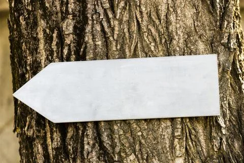 Gray arrow on the trunk of a tree in nature. pointer in the park Stock Photos