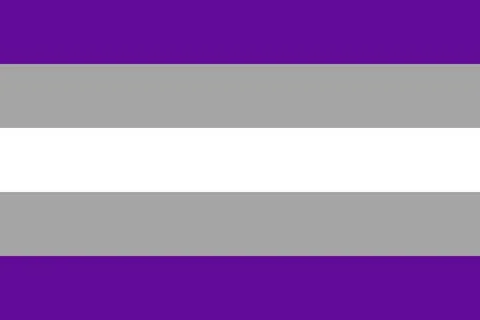 GRAY ASEXUAL Flag. Pride Flag. LGBTQ+. Pride Parade. Multicolored LGBTQIA l.. Illustrazione stock