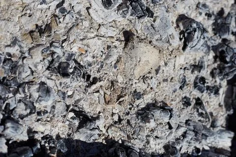 Gray ash from the oven background texture, cinder, grey ashes from the wood f Stock Photos