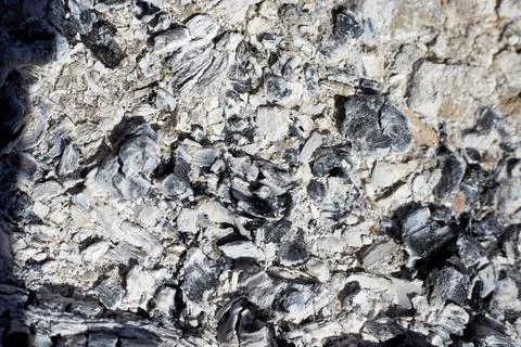 Gray ash from the oven background texture, cinder, grey ashes from the wood f Stock Photos