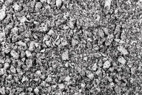 Gray ash Stock Photos