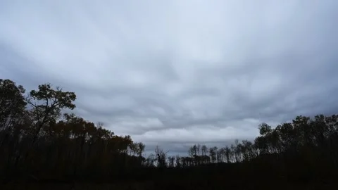 Gray autumn storm clouds fill the sky above a tree line of aspen trees.  Stock Footage 252531189