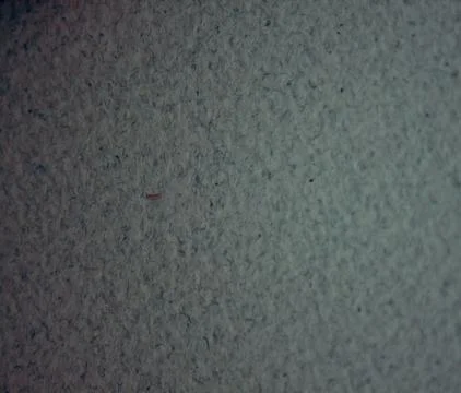 Gray background backdrop texture for graphic design Stock Photos