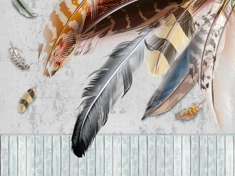 Gray background, boards, large and small multi-colored feathers Stock Illustration