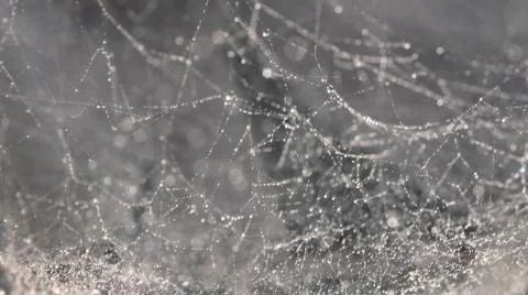 Gray background with bokeh, defocus texture Stock Photos