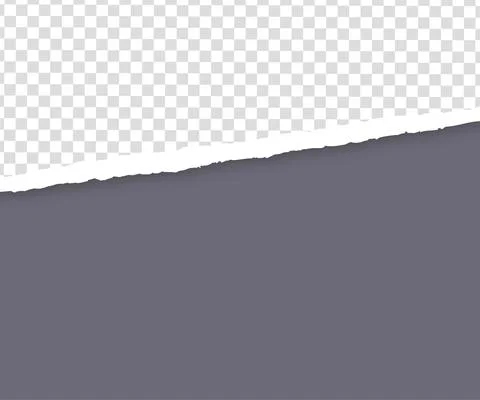 Gray background with copyspace and torn paper edge. Vector illustration. Stockillustratie