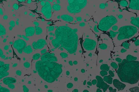 Gray background with green splotches of paint for wallpapers Stock Illustration