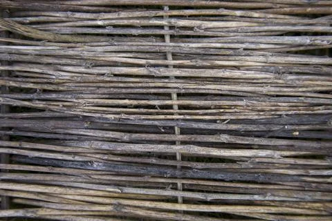 Gray background with intertwined branches Stock Photos