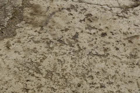 Gray Background Of An Old Surface Concrete Stock Photos