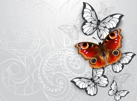 Gray background with peacock butterfly Stock Illustration