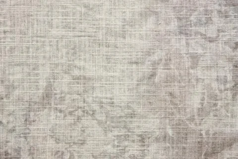 Gray background 写真素材