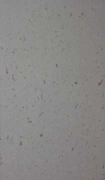 Gray background texture backdrop for graphic design Stock Photos