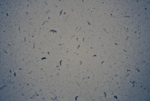 Gray background texture backdrop for graphic design Stock Photos