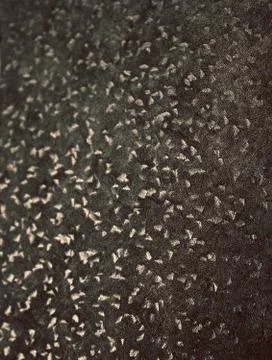 Gray background texture for graphic design Stock Photos