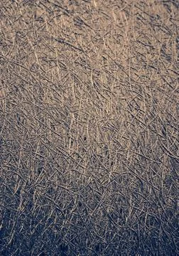 Gray background texture for graphic design Stock Photos