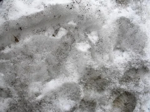 Gray background from the wall concrete texture Stock Photos
