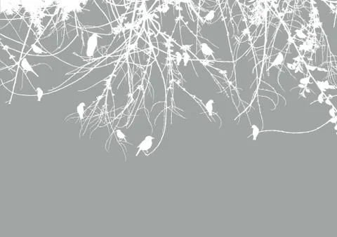 Gray background, white contours of tree branches and birds Stock Illustration