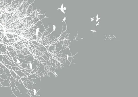 Gray background, white contours of a tree and flying and sitting birds Stock Illustration