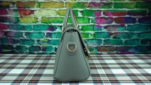 Gray bag three Stock Footage 101973719