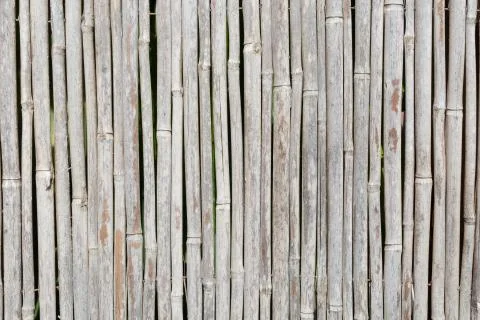 Gray bamboo texture Stock Photos