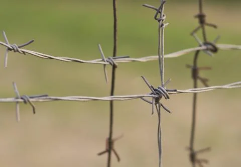 Gray barbed wire gray barbed wire Stock Photos