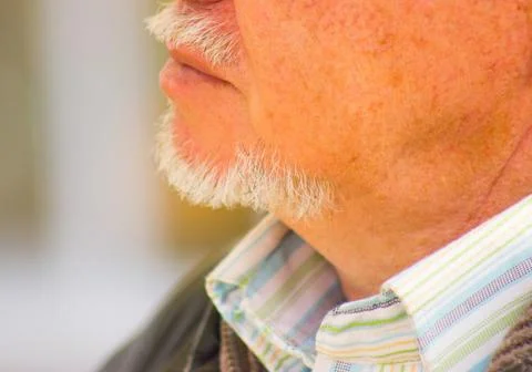 A gray beard with a chin Foto stock