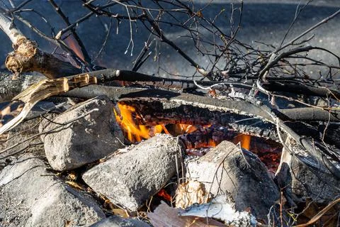 Gray big stones and trunks for a bonfire are in a fireplace in the forest Stock Photos