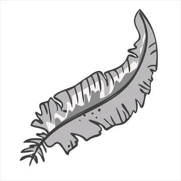 Gray bird feather. Vector illustration in hand drawn style 스톡 일러스트
