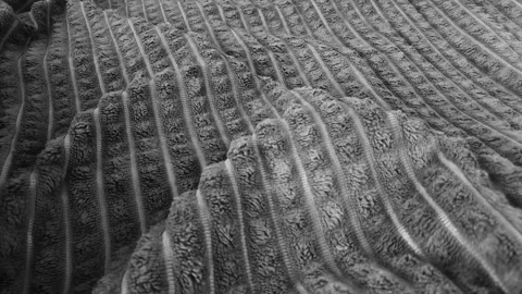 A gray blanket, a bedspread, crumpled. A gray cotton bed. Stock Footage 316638986