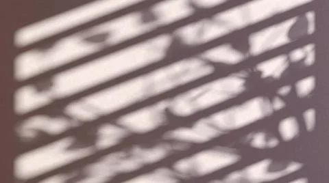 Gray blinds and trees shadow game silhouette effect Stock Illustration